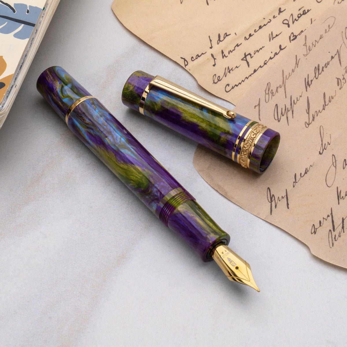 Delta Limited Edition Fountain Pen - DV 2.0 - Wisteria Walk - Gold Trim (Mid-Size) - Pen Boutique Ltd