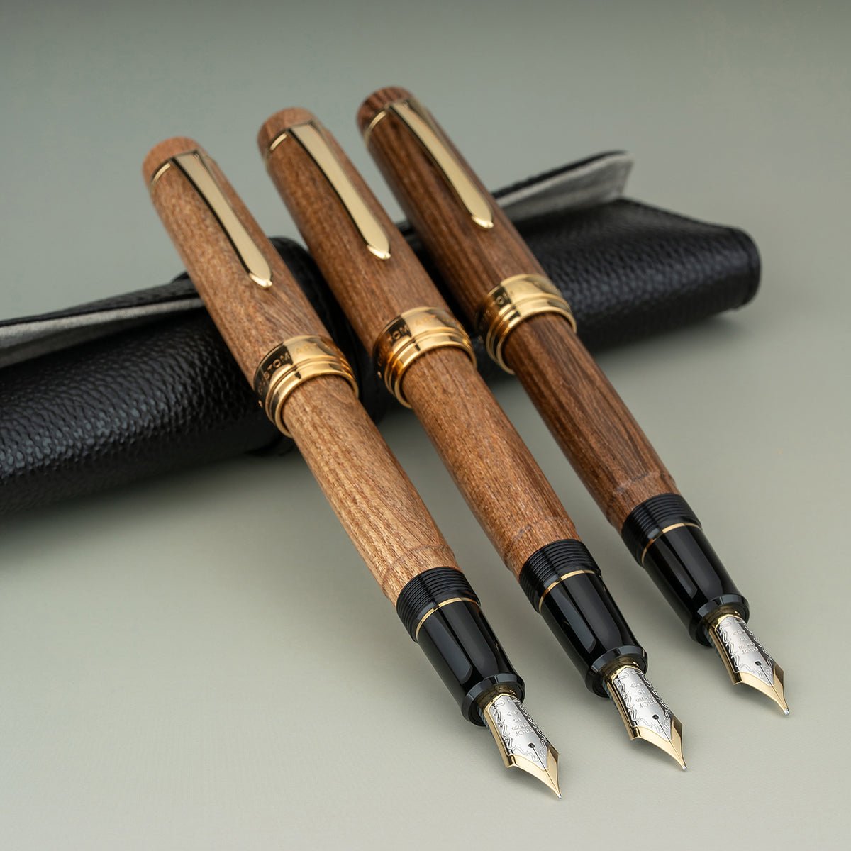 Pilot Custom Enju Fountain Pen - 18K - Pen Boutique Ltd