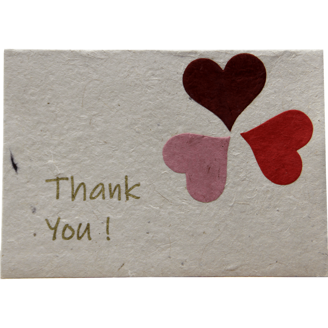 Monk Paper Thank You Note with Envelope - Cornflower Petal Red Letter - 12 Per Pack asst. - Pen Boutique Ltd