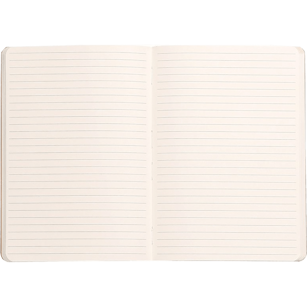 Rhodia Rhodiarama Lined Tangerine A6 Notebooks - Pen Boutique Ltd