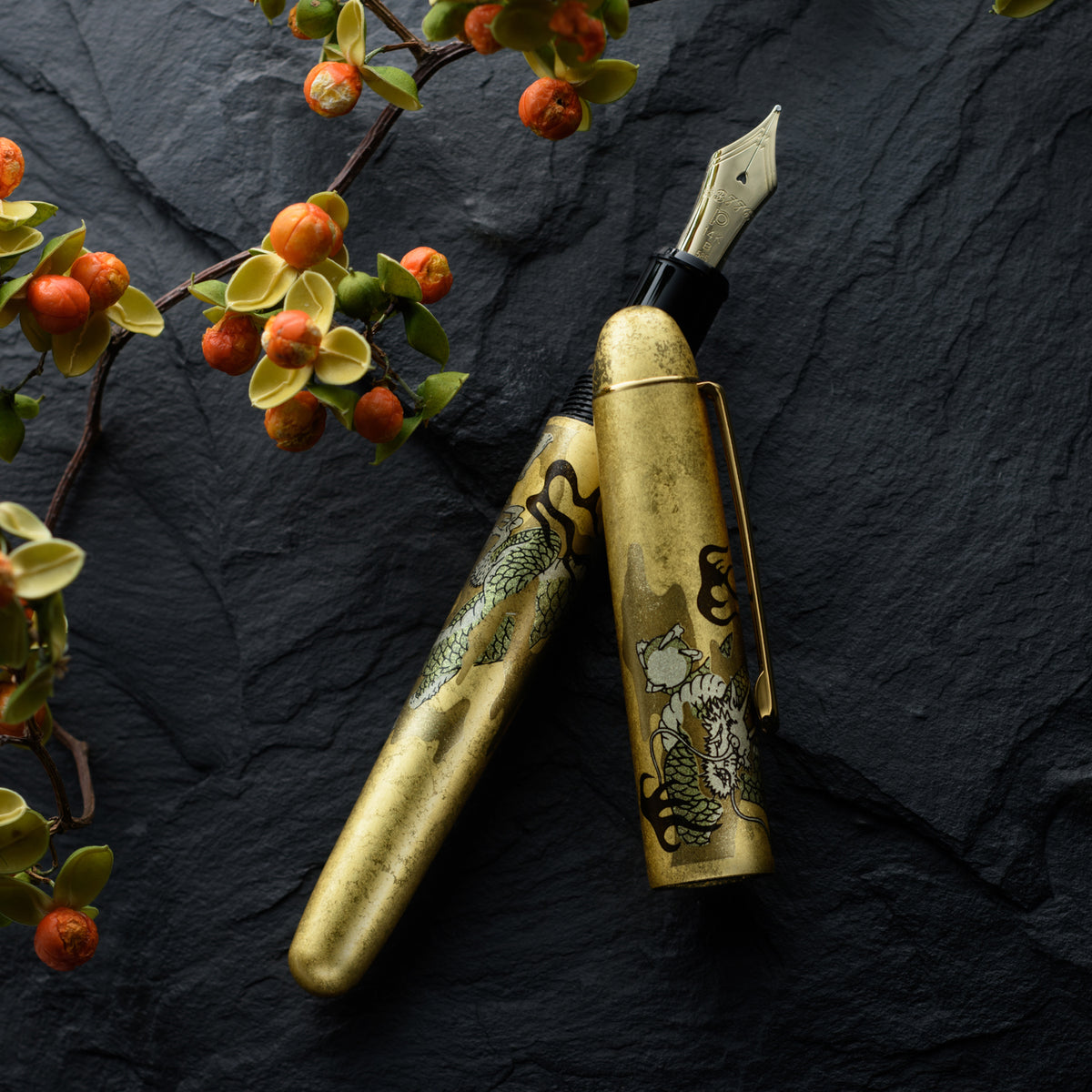 Platinum 3776 Century Fountain Pen - Ascending Dragon - Pen Boutique Ltd
