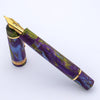 Delta Limited Edition Fountain Pen - DV 2.0 - Wisteria Walk - Gold Trim (Oversize) - Pen Boutique Ltd