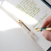 Esterbrook Estie Fountain Pen - Accutron Spaceview - Pen Boutique Ltd