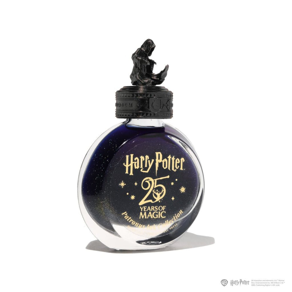 Ferris Wheel Press x WB Harry Potter Fountain Pen Ink - Dementor - 38ml - Pen Boutique Ltd