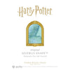 Ferris Wheel Press x WB Harry Potter Limited Masque Fountain Pen and 38ml Ink Set - Severus Snape - Pen Boutique Ltd