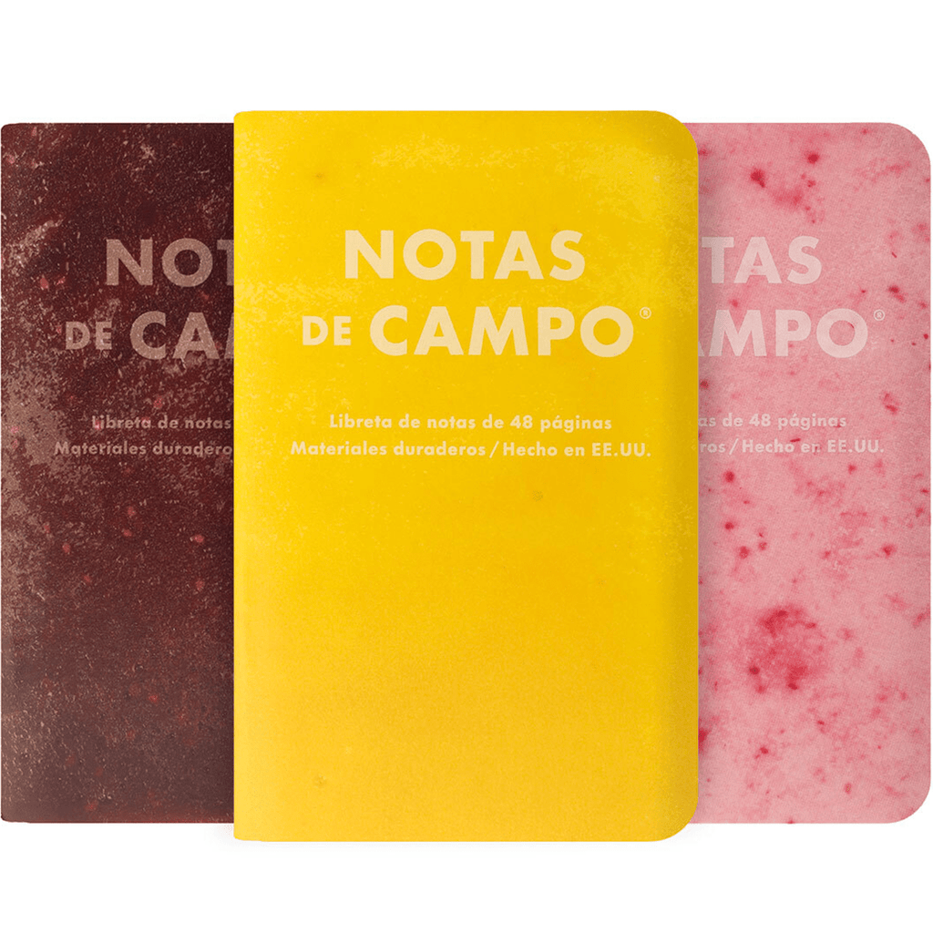 Field Notes Memo Book - Summer 2026 Paletas 3-Pack B (71st Quarterly Limited Edition) - Pen Boutique Ltd