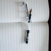 Nahvalur Original Fountain Pen - Demonstrator-Pen Boutique Ltd