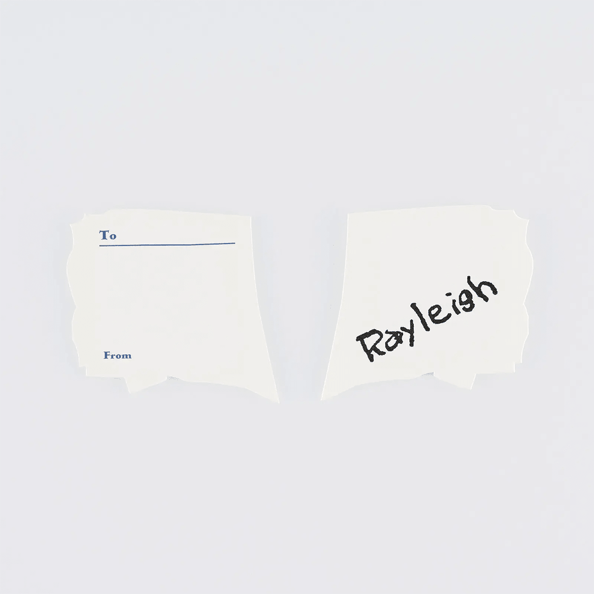 Hobonichi Letterpress Printed Card - ONE PIECE Magazine: Vivre Card & Treasure Tab - Pen Boutique Ltd