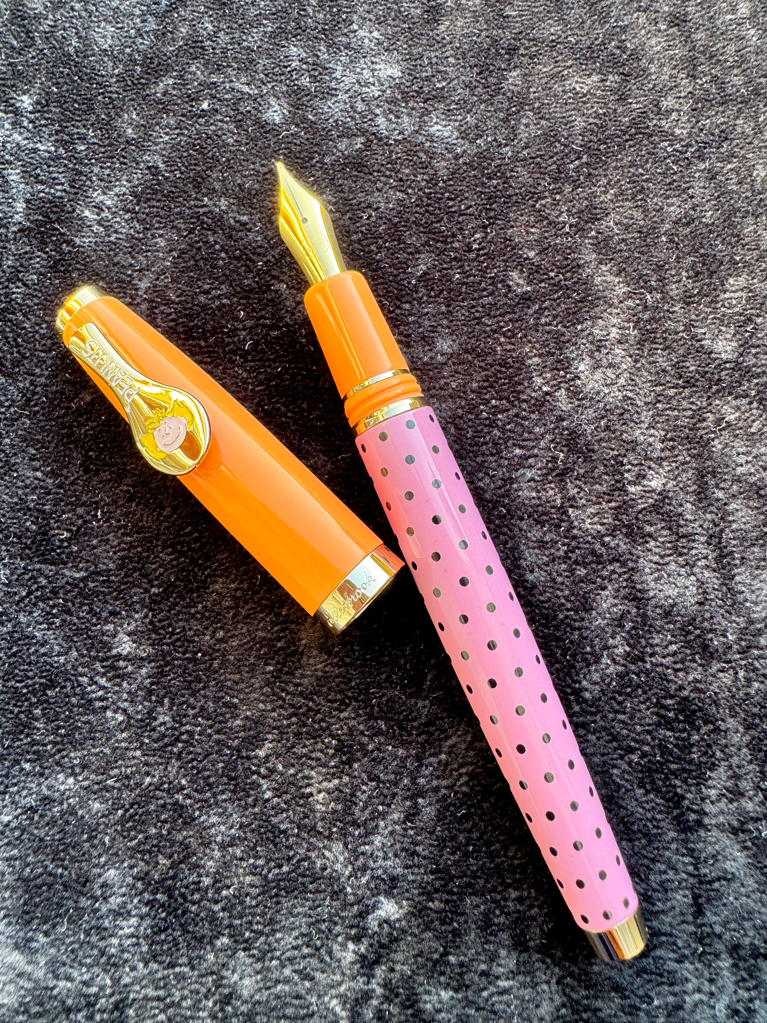 Esterbrook x Peanuts Estie Fountain Pen - FRIENDS Sally (75th Anniversary)-Pen Boutique Ltd