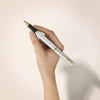 Parker Meridian Rollerball Pen - Chrome - Gold Trim - Pen Boutique Ltd