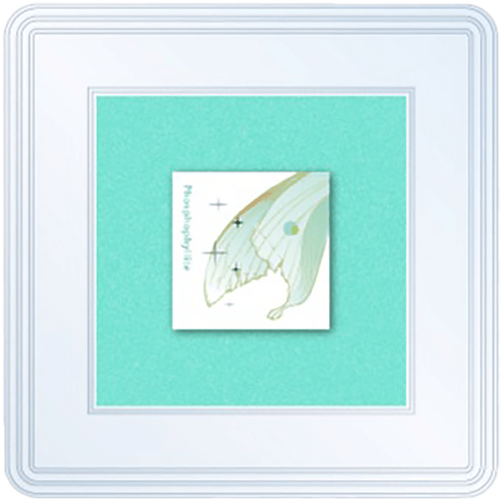 Tono & Lims - Stamp Pad Earth Contact - Phosphophyllite - Pen Boutique Ltd