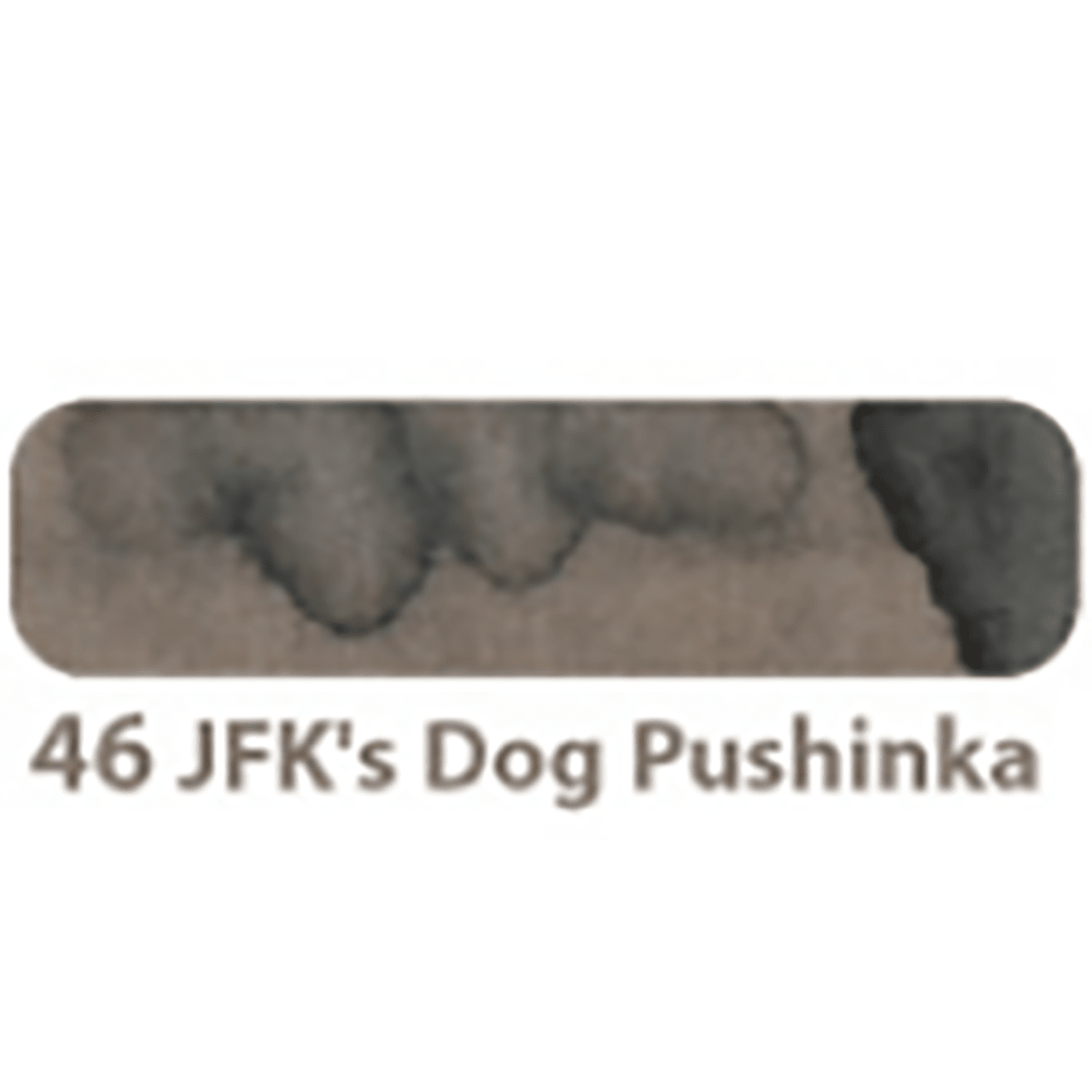 Colorverse Mini Ink - Trailblazer In Space - JFK's Dog Pushinka - 5ml - Pen Boutique Ltd