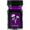 Monteverde USA Emotions Ink Bottle - Gratitude Magenta - 30ml - Pen Boutique Ltd