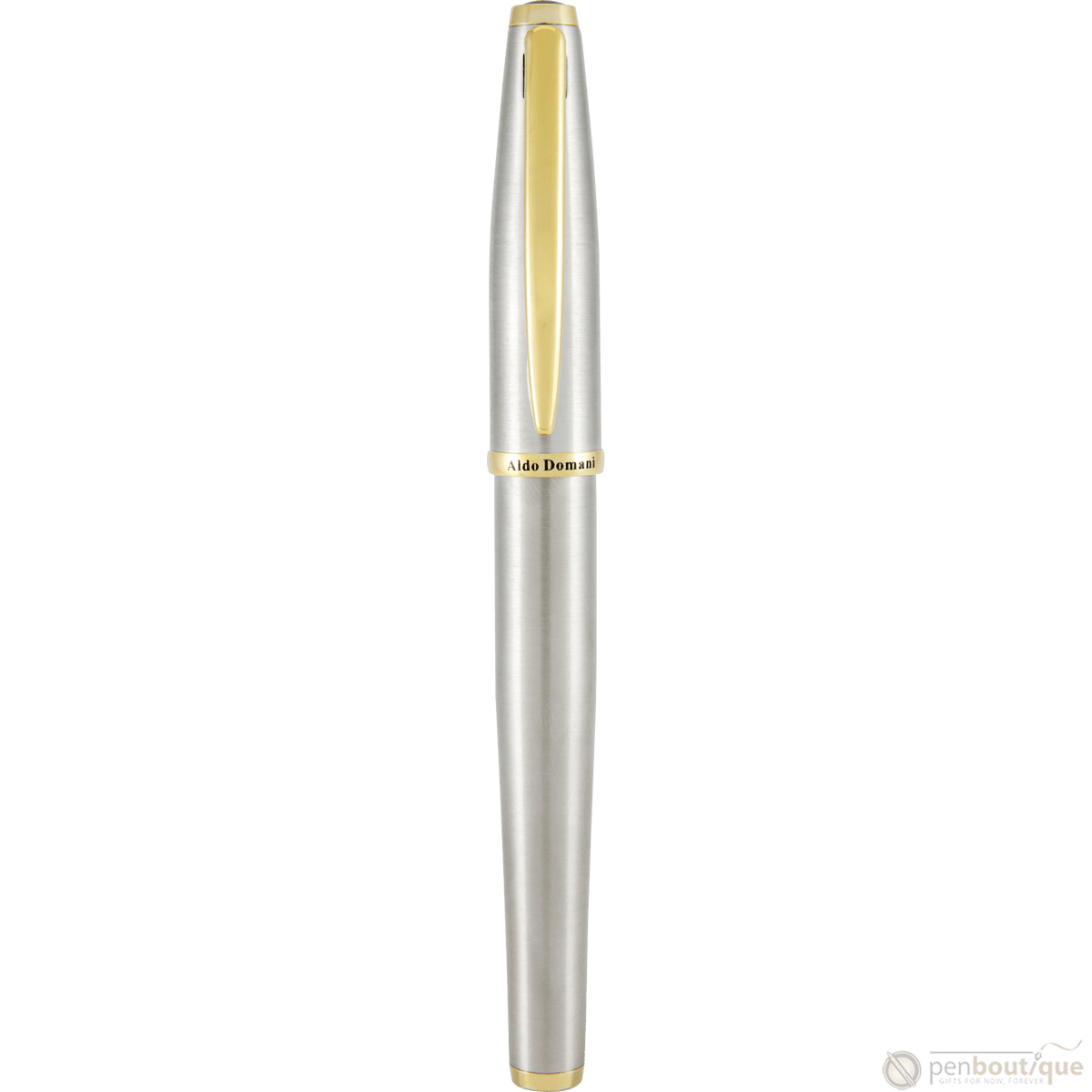 Monteverde Aldo Domani Fountain Pen - Brushed - Pen Boutique Ltd