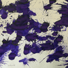 Monteverde Noir Ink Collection - Mulberry Noir - 30ML - Pen Boutique Ltd